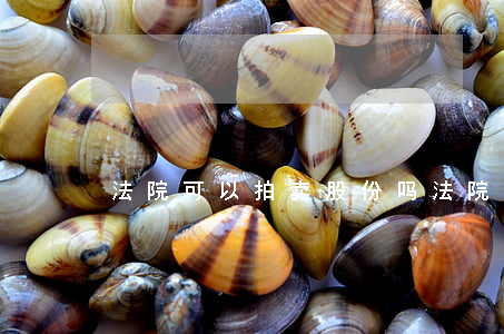 法院可以拍卖股份吗(法院执行股权拍卖规定)