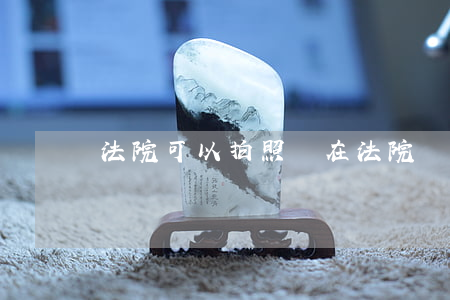 法院可以拍照嗎(在法院門口拍照違法嗎)