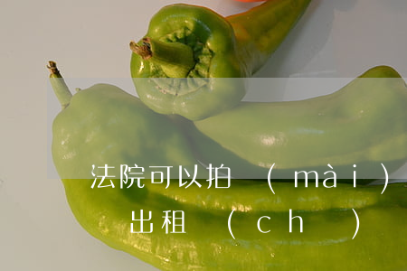 法院可以拍賣(mài)出租車(chē)嗎(出租車(chē)經(jīng)營(yíng)權(quán)可以拍賣(mài)嗎)