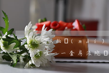 法院可以拍賣(mài)唯一的一套住房嗎(只有唯一一套房法院執(zhí)行可以拍賣(mài)嗎)