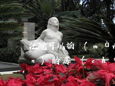 法院可以拍賣(mài)有抵押權(quán)的房產(chǎn)嗎(法院拍賣(mài)房子有抵押是啥意思)