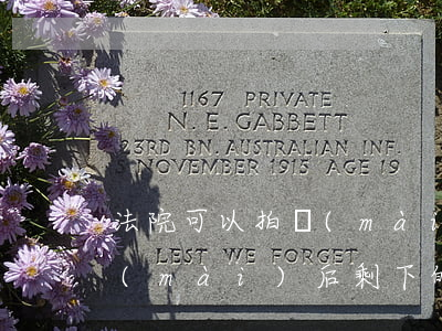法院可以拍賣(mài)返還地嗎(法院拍賣(mài)后剩下的錢(qián)什么時(shí)候能返還)