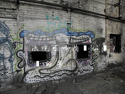 法院可以拍賣公產(chǎn)房嗎(法院拍賣的房)