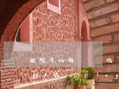 法院可以拍賣劃撥地嗎(劃撥性質(zhì)的土地經(jīng)過法院拍賣)