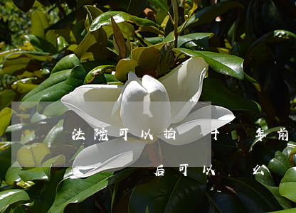 法院可以拍賣十幾年前土地嗎(法院的房子拍賣過來后可以賣么)