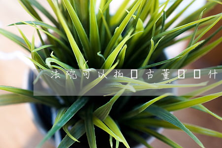 法院可以拍賣古董嗎(為什么拍賣古董不犯法)