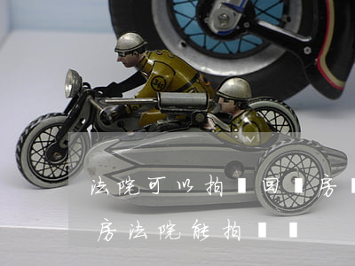 法院可以拍賣回遷房產(chǎn)嗎(回遷房法院能拍賣嗎)