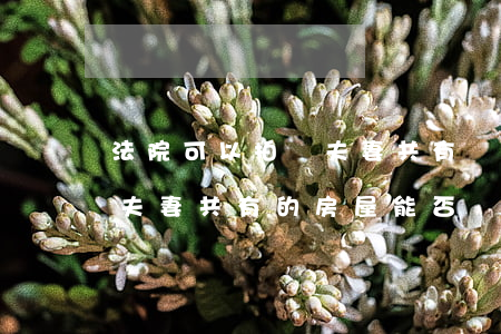 法院可以拍賣夫妻共有財產(chǎn)嗎(夫妻共有的房屋能否強制拍賣執(zhí)行)