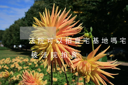法院可以拍賣宅基地嗎(宅基地會(huì)被法院拍賣)
