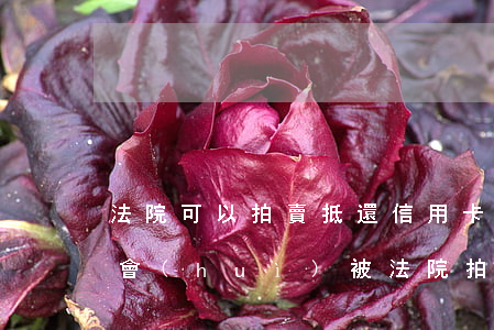 法院可以拍賣抵還信用卡欠款嗎(信用卡欠款會(huì)被法院拍賣唯一住房嗎)