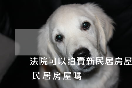 法院可以拍賣新民居房屋嗎(法院可以拍賣新民居房屋嗎)