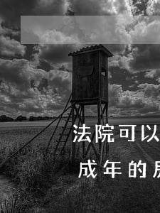 法院可以拍賣未成年房子嗎(法院可以查封未成年的房產(chǎn)嗎)