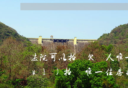 法院可以拍賣欠債人唯一住房嗎(法院會(huì)拍賣唯一住房按揭房嗎)