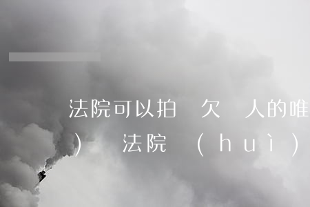 法院可以拍賣欠債人的唯一房產(chǎn)嗎(法院會(huì)拍賣唯一住房嗎)