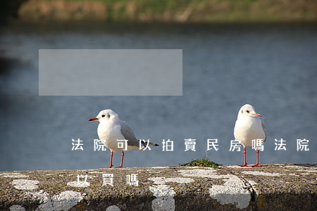 法院可以拍賣民房嗎(法院公開拍賣的房子可以買嗎)