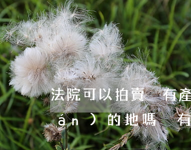 法院可以拍賣沒有產(chǎn)權(quán)的地嗎(沒有房產(chǎn)證法院能拍賣)
