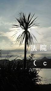 法院可以拍賣無房產(chǎn)證的房產(chǎn)嗎(沒有房產(chǎn)證房子法院可以拍賣嗎)