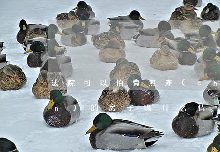 法院可以拍賣無產(chǎn)權(quán)的房子嗎(什么情況下法院不能拍賣房屋)