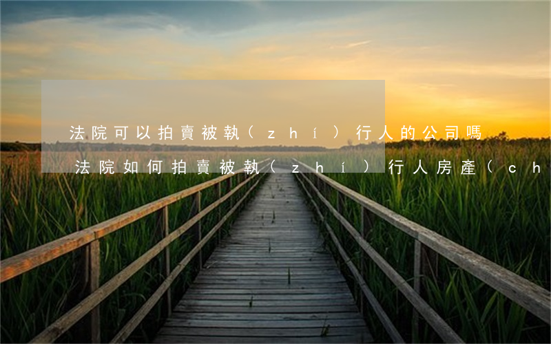 法院可以拍賣被執(zhí)行人的公司嗎(法院如何拍賣被執(zhí)行人房產(chǎn))