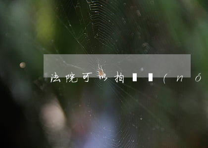 法院可以拍賣農(nóng)村別墅嗎
