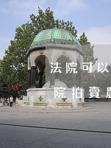 法院可以拍賣農(nóng)村居民房嗎(法院拍賣農(nóng)村房屋過戶需要什么手續(xù))
