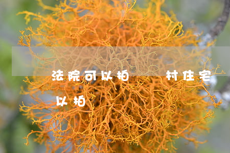 法院可以拍賣農村住宅嗎(農村自建房法院可以拍賣嗎)