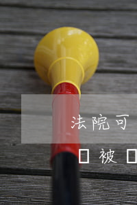 法院可以拍賣集體所有制房產(chǎn)嗎(被執(zhí)行人只有集體土地的房屋可以拍賣嗎)