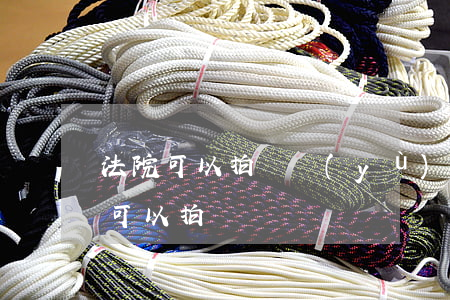 法院可以拍賣預(yù)售房嗎(首套房法院可以拍賣嗎)