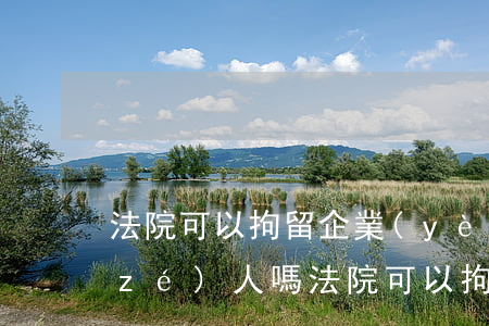 法院可以拘留企業(yè)負(fù)責(zé)人嗎(法院可以拘留企業(yè)負(fù)責(zé)人嗎)