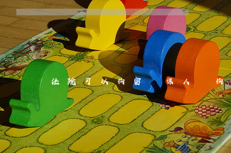法院可以拘留擔保人嗎(拘留可以擔保出來嗎)