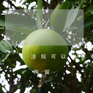 法院可以拘留有傷的人嗎(什么樣的傷情能被拘留)