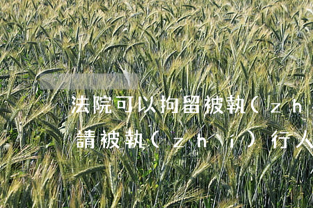 法院可以拘留被執(zhí)行人嗎(可以申請被執(zhí)行人拘留嗎)