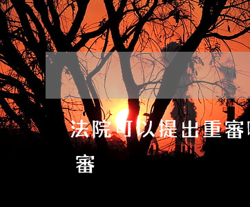 法院可以提出重審嗎(什么情況下案件可以重審)