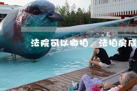 法院可以撤拍嗎(法拍房成交后法院可以撤回嗎)