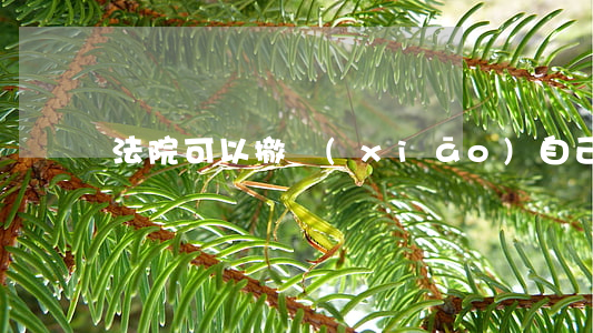 法院可以撤銷(xiāo)自己的生效判決嗎
