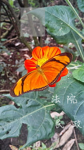 法院可以撤銷民政局離婚協(xié)議嗎(民政局離婚必須要法院撤訴嗎)