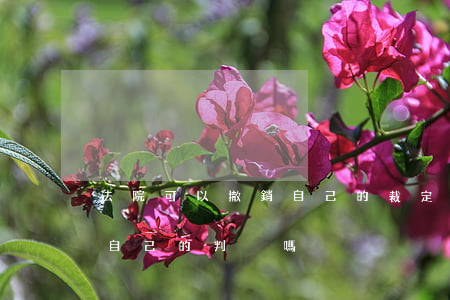 法院可以撤銷自己的裁定嗎(法院自己能撤銷自己的判決嗎)