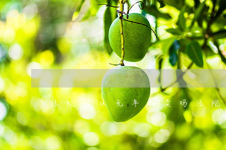 法院可以无车拍卖吗(法院拍卖的车千万别买)
