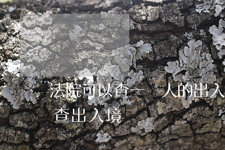 法院可以查一個人的出入境記錄嗎(自己怎么查出入境記錄)