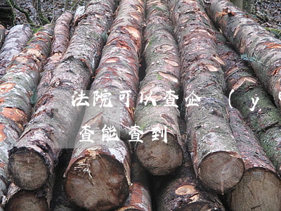 法院可以查企業(yè)嗎(法院立案了企查查能查到嗎)