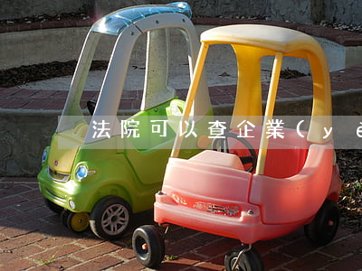 法院可以查企業(yè)賬戶嗎