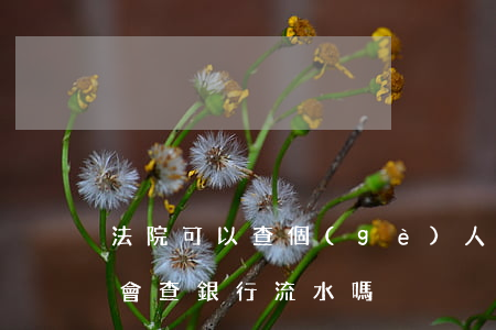 法院可以查個(gè)人的銀行流水嗎(法院會查銀行流水嗎)
