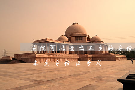 法院可以查出车主的身份吗(有车牌号能查到车主身份证号码)