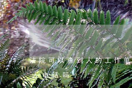 法院可以查到人的工作单位吗(法院能查到个人电话吗)