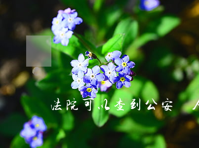 法院可以查到公安個人案底嗎