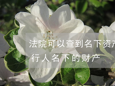 法院可以查到名下资产变动吗(怎样查到被执行人名下的财产)