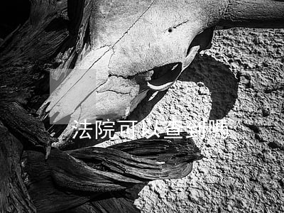 法院可以查到嗎