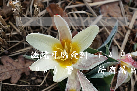 法院可以查到報(bào)警記錄嗎(報(bào)警記錄所有派出所都能查嗎)
