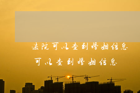 法院可以查到婚姻信息嗎(網(wǎng)上可以查到婚姻信息嗎)