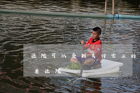 法院可以查到支付宝上的钱吗(支付宝怎么查看法院)